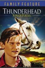 Watch Thunderhead - Son of Flicka Movie4k