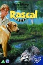 Watch Rascal Movie4k