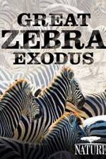 Watch Nature: Great Zebra Exodus Movie4k