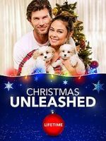 Watch A Doggone Christmas Movie4k