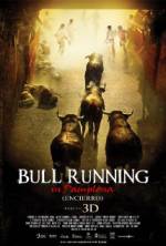 Watch Encierro 3D: Bull Running in Pamplona Movie4k