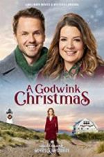 Watch A Godwink Christmas Movie4k