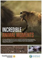 Watch Incredible Animal Moments Movie4k