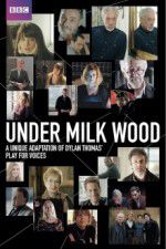 Watch Under Milk Wood Movie4k