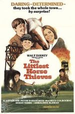 Watch The Littlest Horse Thieves Movie4k