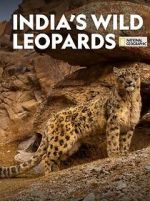 Watch India\'s Wild Leopards (Short 2020) Movie4k