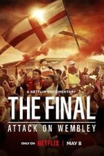 Watch The Final: Attack on Wembley Movie4k