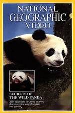 Watch Secrets of the Wild Panda Movie4k