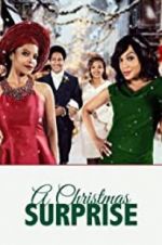 Watch A Christmas Surprise Movie4k