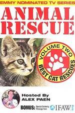 Watch Animal Rescue, Volume 2: Best Cat Rescues Movie4k