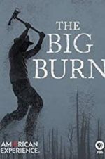 Watch American Experience: The Big Burn Movie4k
