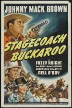 Watch Stagecoach Buckaroo Movie4k