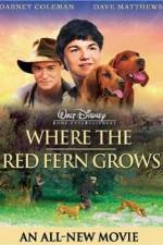 Watch Where the Red Fern Grows Movie4k