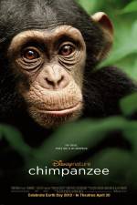 Watch Chimpanzee Movie4k