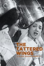 Watch The Tattered Wings Movie4k