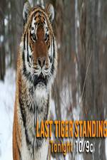 Watch Discovery Channel-Last Tiger Standing Movie4k