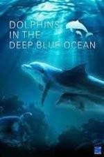 Watch Dolphins in the Deep Blue Ocean Movie4k