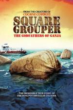 Watch Square Grouper Movie4k