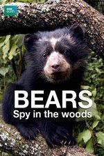 Watch Bears: Spy in the Woods Movie4k