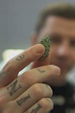 Watch Professor Green: Is It Time to Legalise Weed? Movie4k