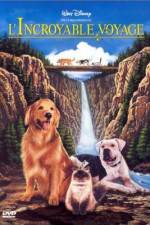 Watch Homeward Bound: The Incredible Journey Movie4k