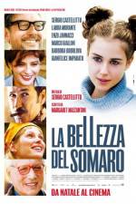 Watch La bellezza del somaro Movie4k