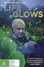 Watch Attenborough\'s Life That Glows Movie4k