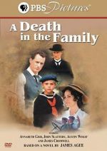 Watch A Death in the Family Movie4k