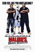 Watch Malibu's Most Wanted Movie4k