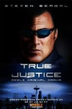 Watch True Justice: Brotherhood Movie4k