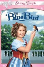 Watch The Blue Bird Movie4k