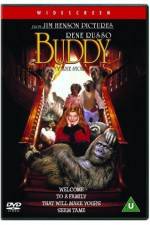 Watch Buddy Movie4k