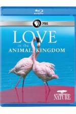 Watch Nature: Love in the Animal Kingdom Movie4k