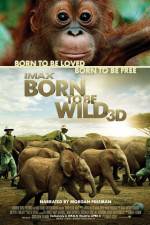 Watch Born to Be Wild Movie4k