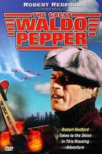 Watch The Great Waldo Pepper Movie4k