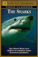 Watch National Geographic The Sharks Movie4k