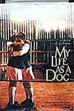 Watch My Life As A Dog Movie4k