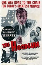 Watch The Hoodlum Movie4k