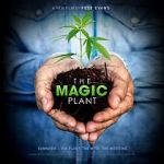 Watch The Magic Plant Movie4k
