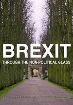 Watch Brexit Through the Non-Political Glass Movie4k
