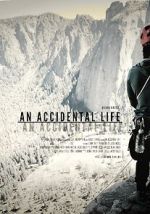 Watch An Accidental Life Movie4k