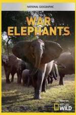 Watch War Elephants Movie4k