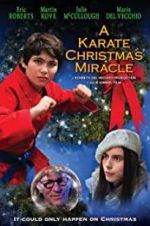 Watch A Karate Christmas Miracle Movie4k