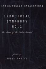 Watch Industrial Symphony No 1 The Dream of the Brokenhearted Movie4k