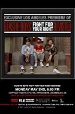 Watch Beastie Boys: Fight for Your Right Revisited Movie4k