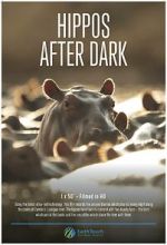 Watch Hippos After Dark Movie4k