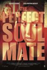 Watch The Perfect Soulmate Movie4k