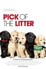 Watch Pick of the Litter Movie4k