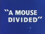 Watch A Mouse Divided (Short 1953) Movie4k