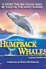 Watch Humpback Whales Movie4k